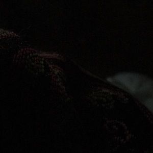 Meet your Posher, Cesaria